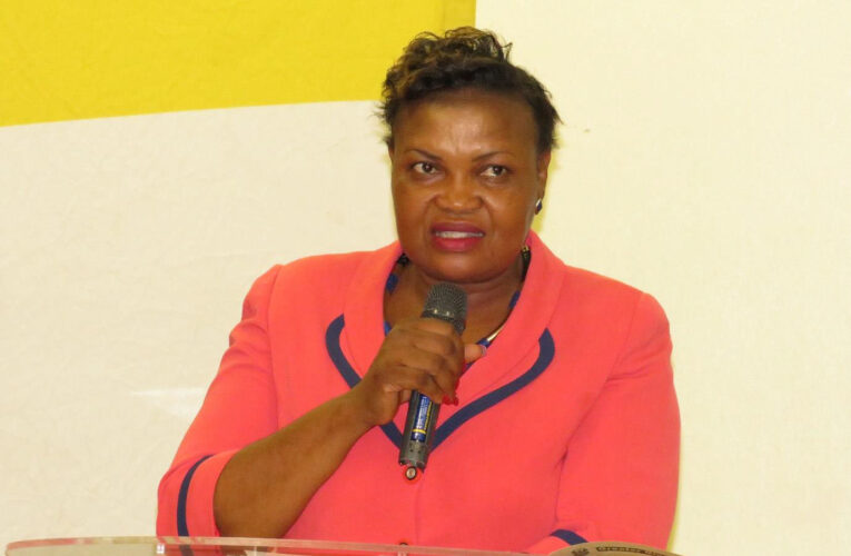 Greater Giyani Local Municipality offices close again over Covid-19 cases